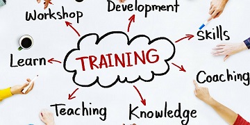 smalltrainingelina